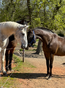 Alvaro%20schliesst%20Freundschaft Alvaro%20schliesst%20Freundschaft