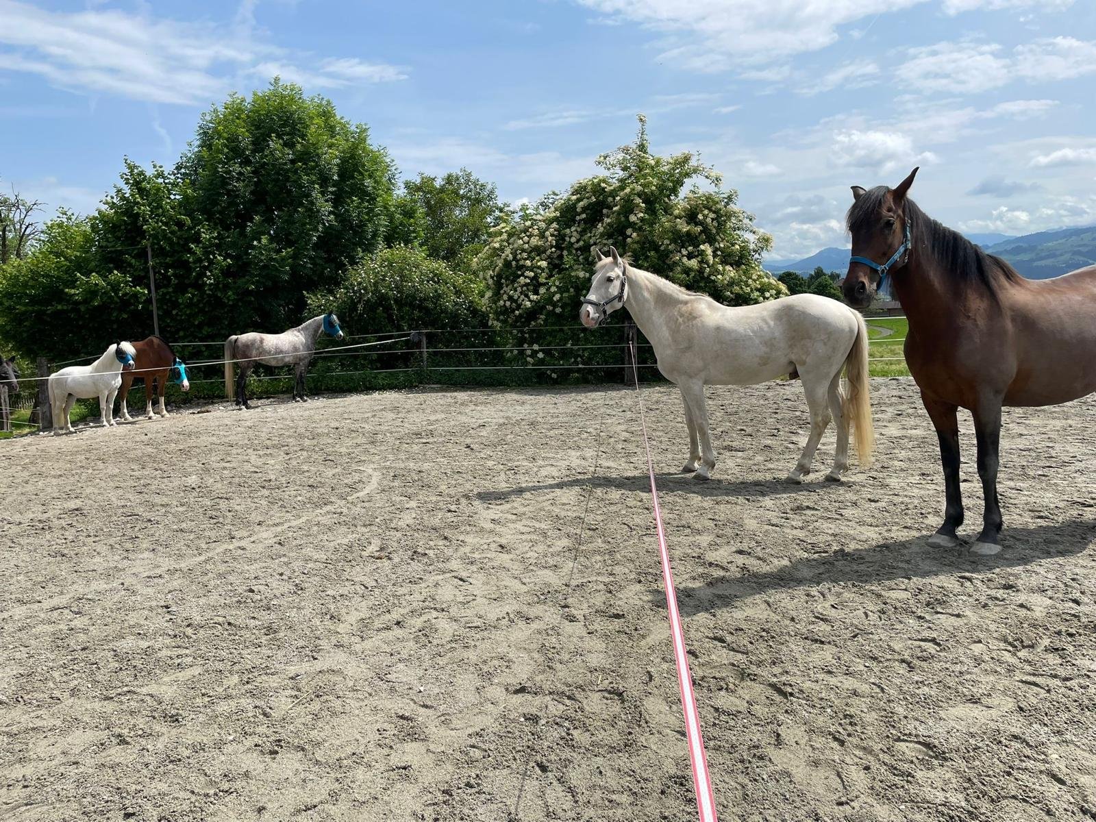 Zeki%20am%20Tag%20der%20Ankunft Zeki%20am%20Tag%20der%20Ankunft